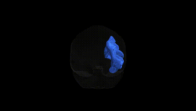Full Brain Black