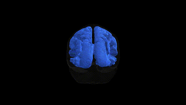 Full Brain Black