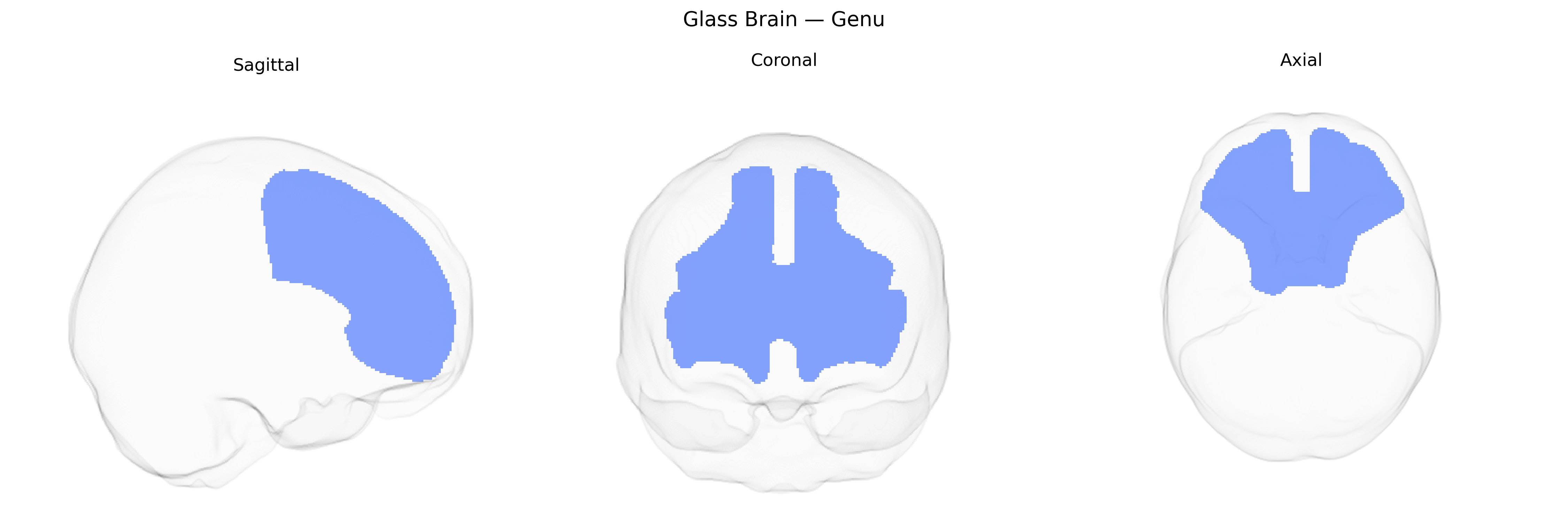 Triplanar Ghost Brain