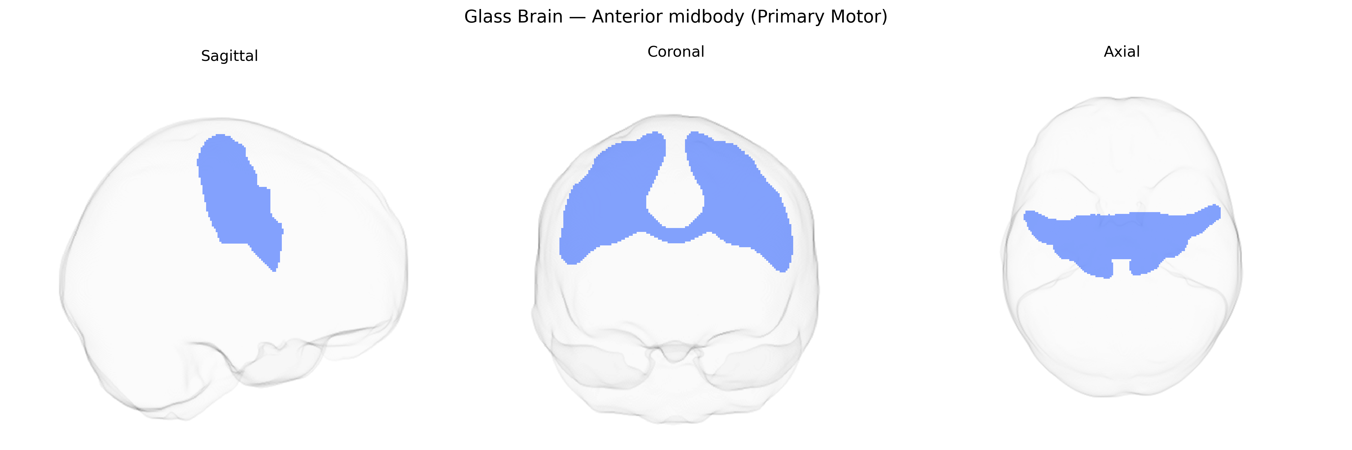 Triplanar Ghost Brain