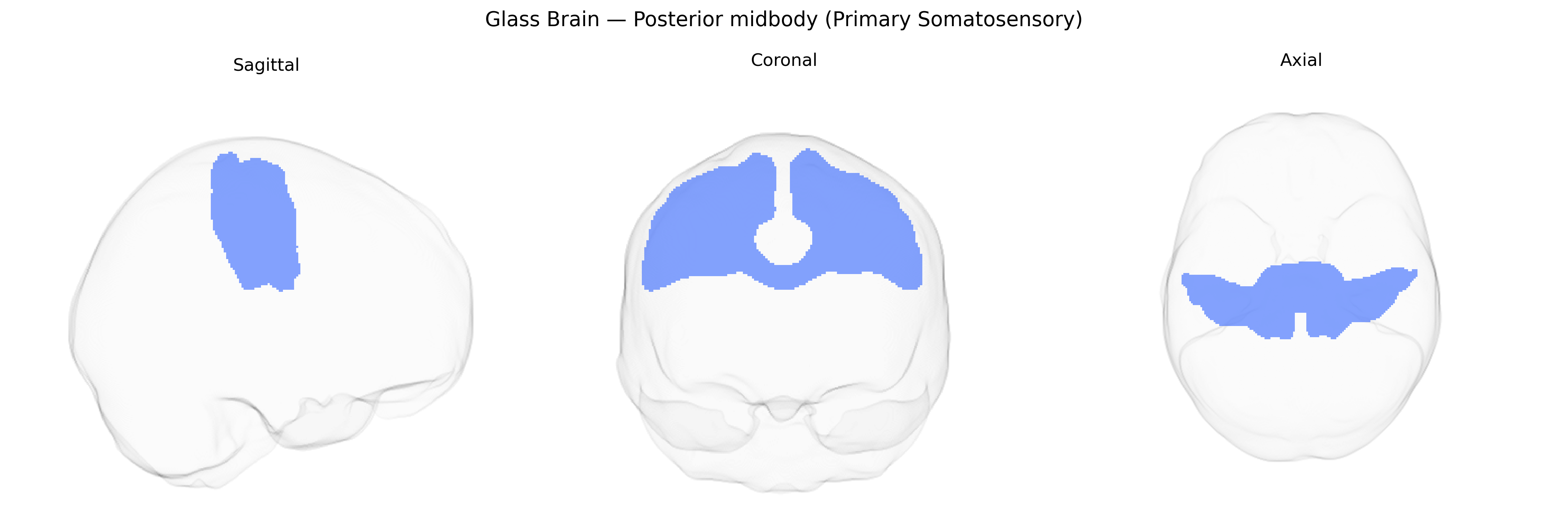 Triplanar Ghost Brain