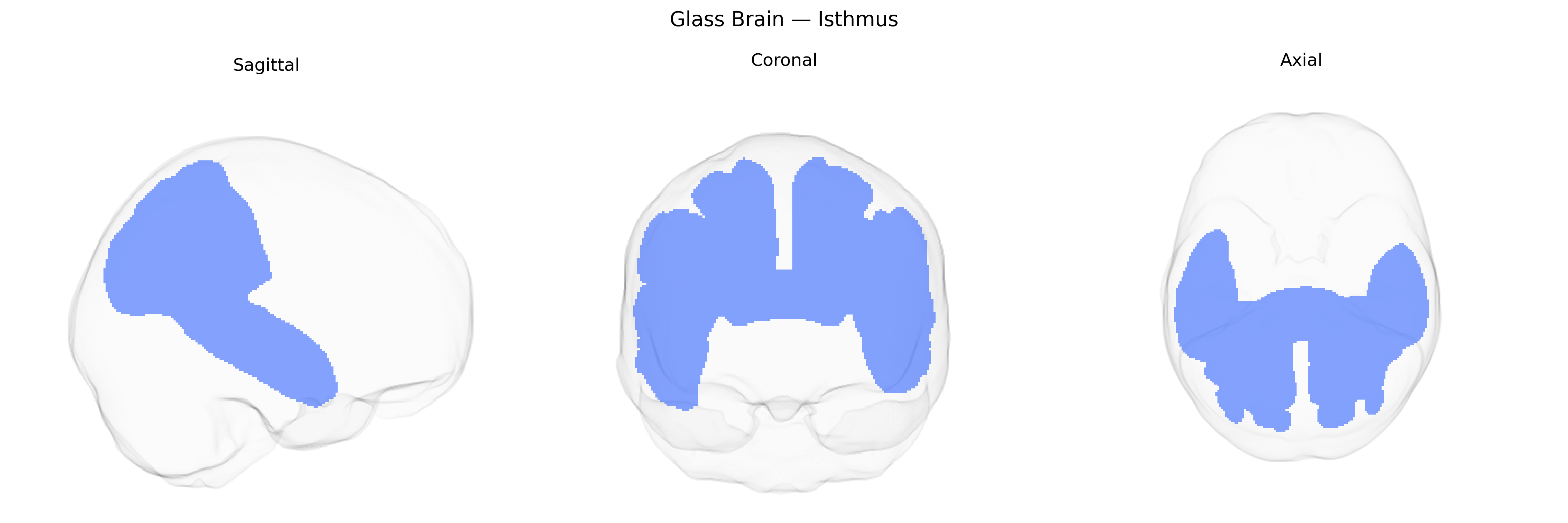 Triplanar Ghost Brain