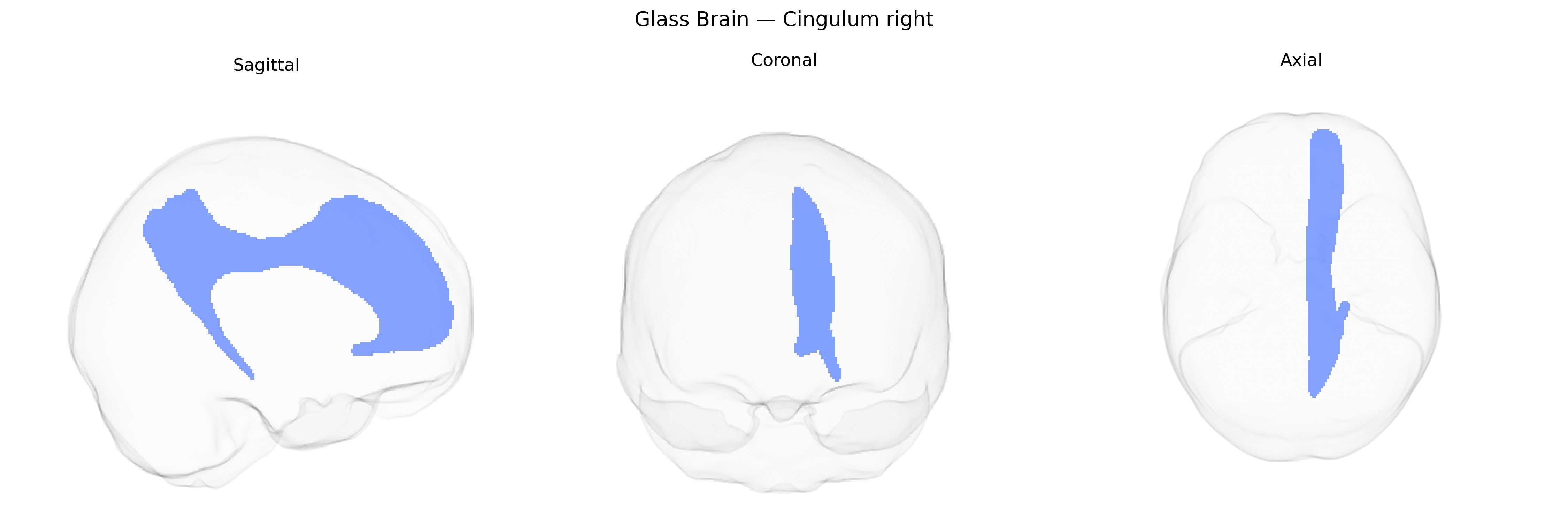 Triplanar Ghost Brain