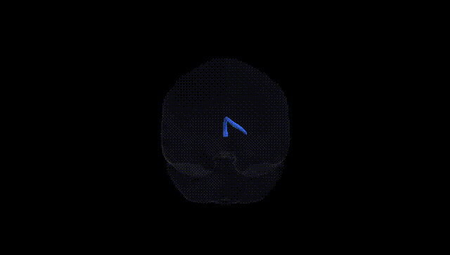 Full Brain Black