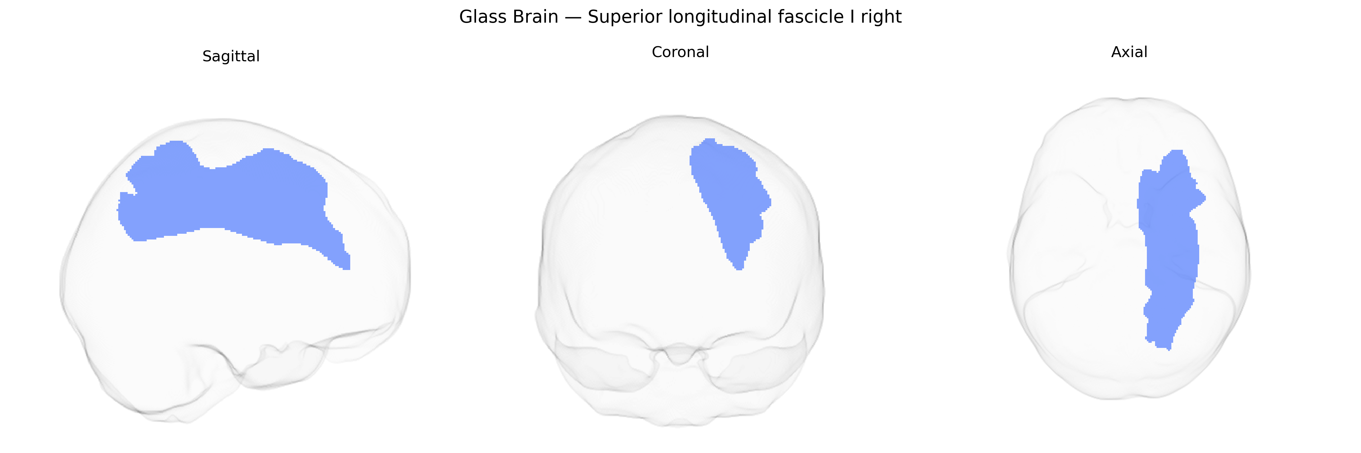 Triplanar Ghost Brain