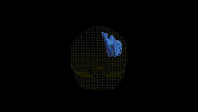 Full Brain Black