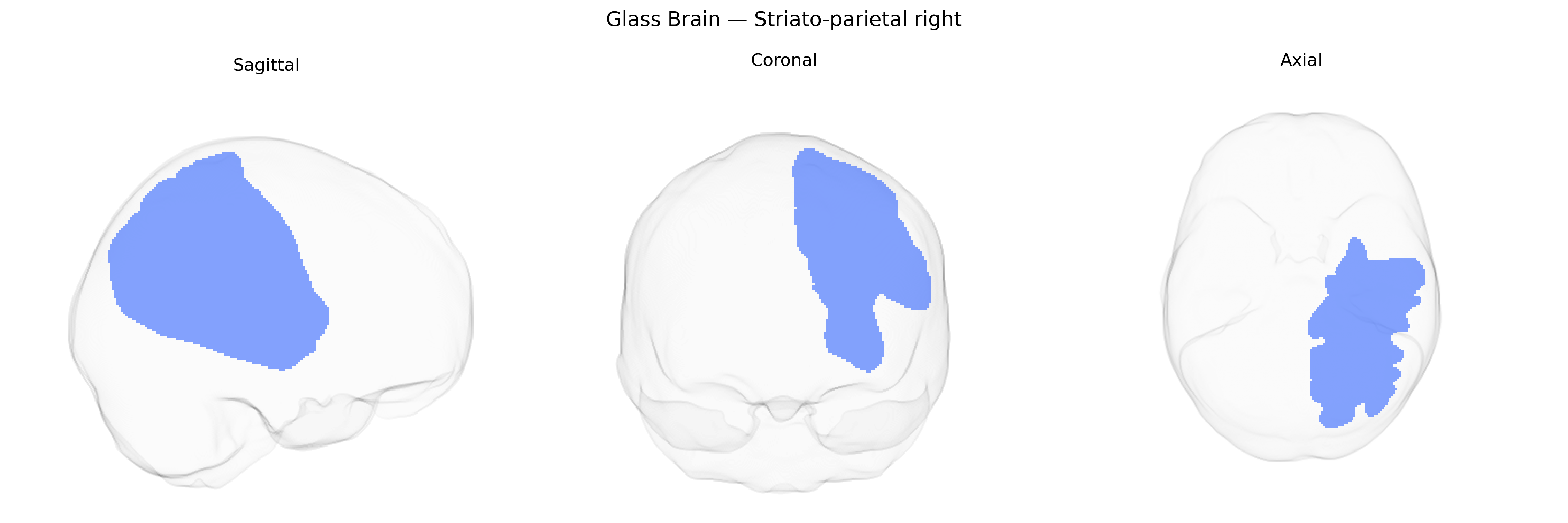 Triplanar Ghost Brain