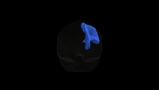 Full Brain Black