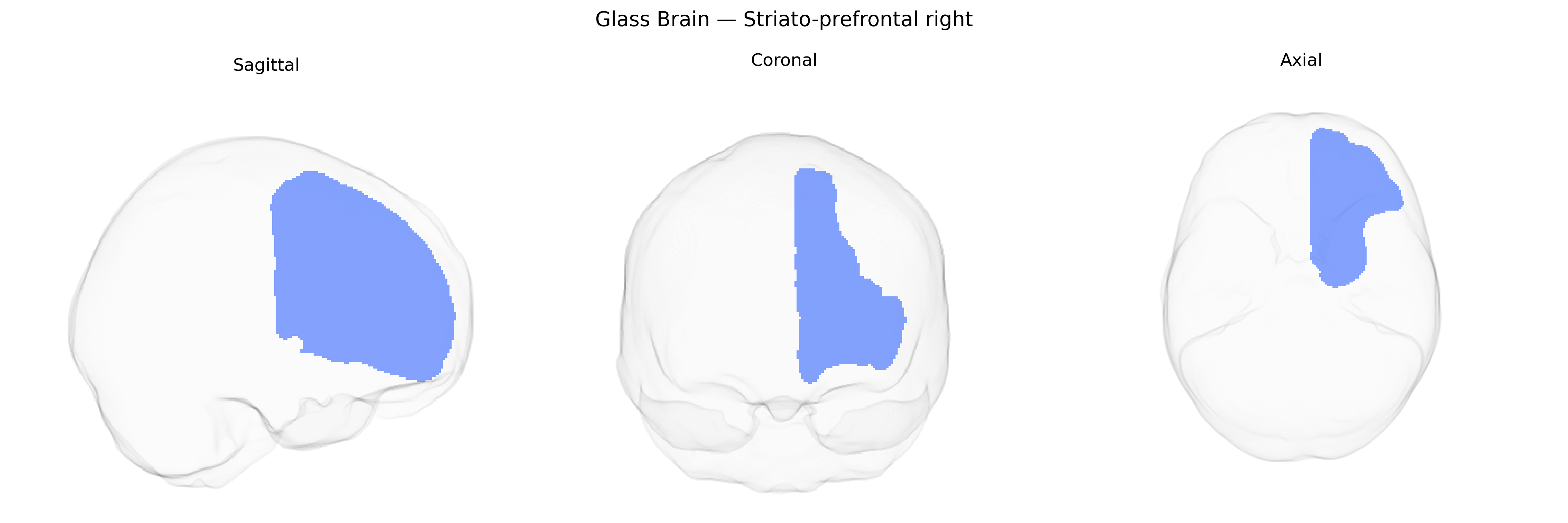 Triplanar Ghost Brain