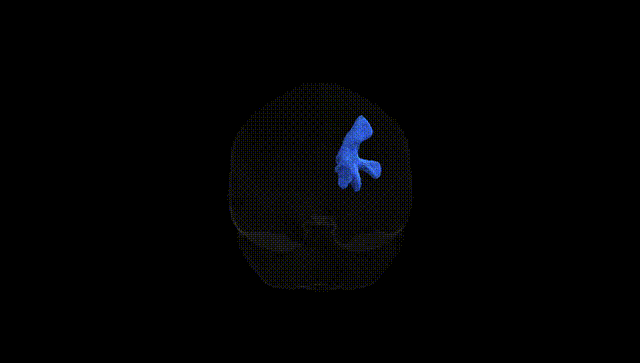 Full Brain Black