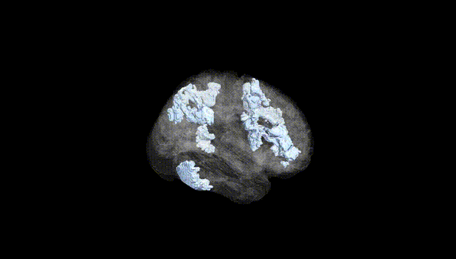 Full Brain Black