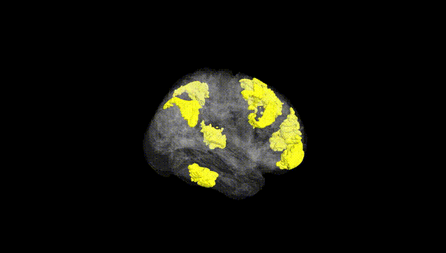 Full Brain Black