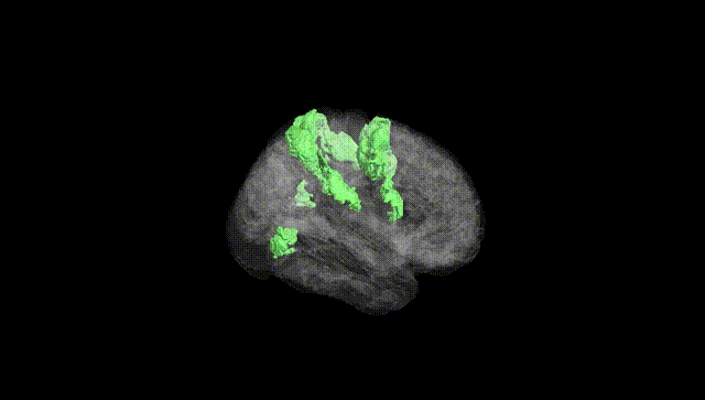 Full Brain Black