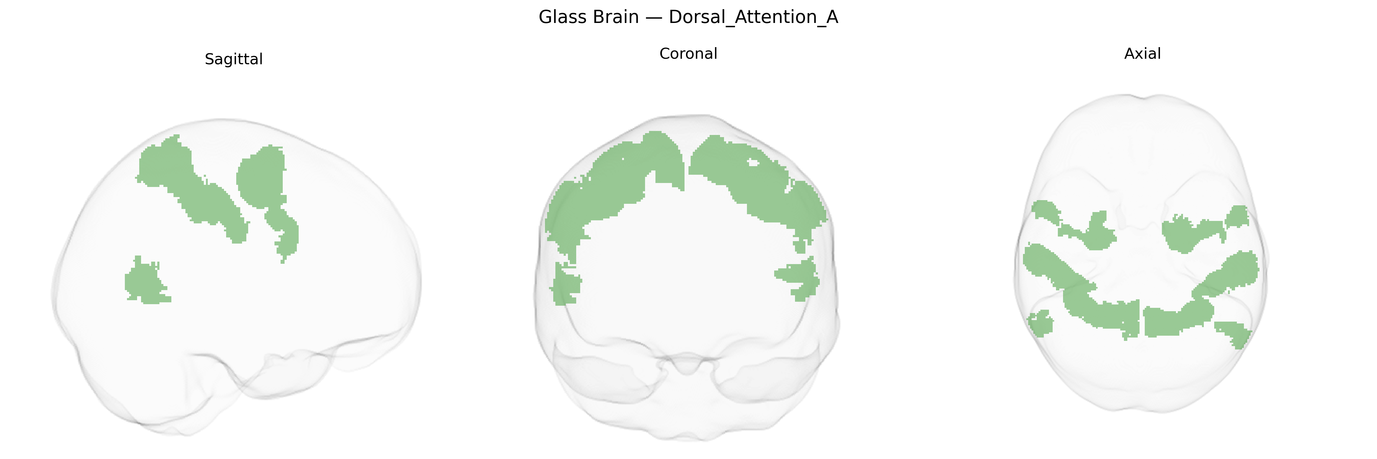 Triplanar Ghost Brain