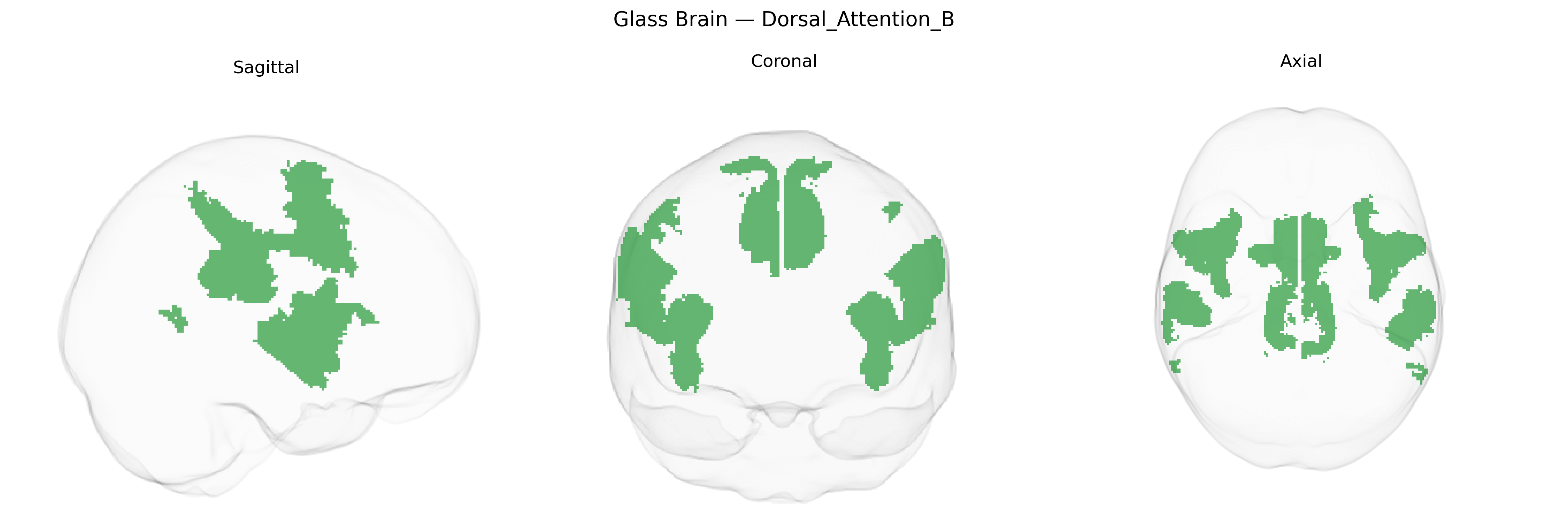Triplanar Ghost Brain