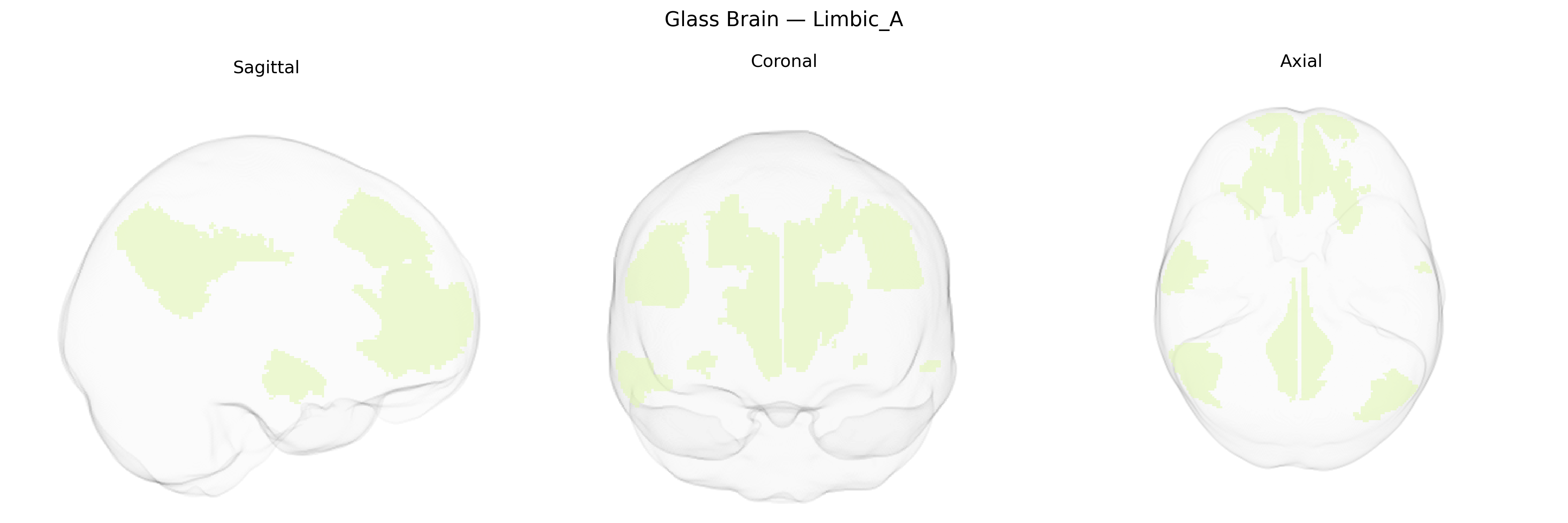Triplanar Ghost Brain