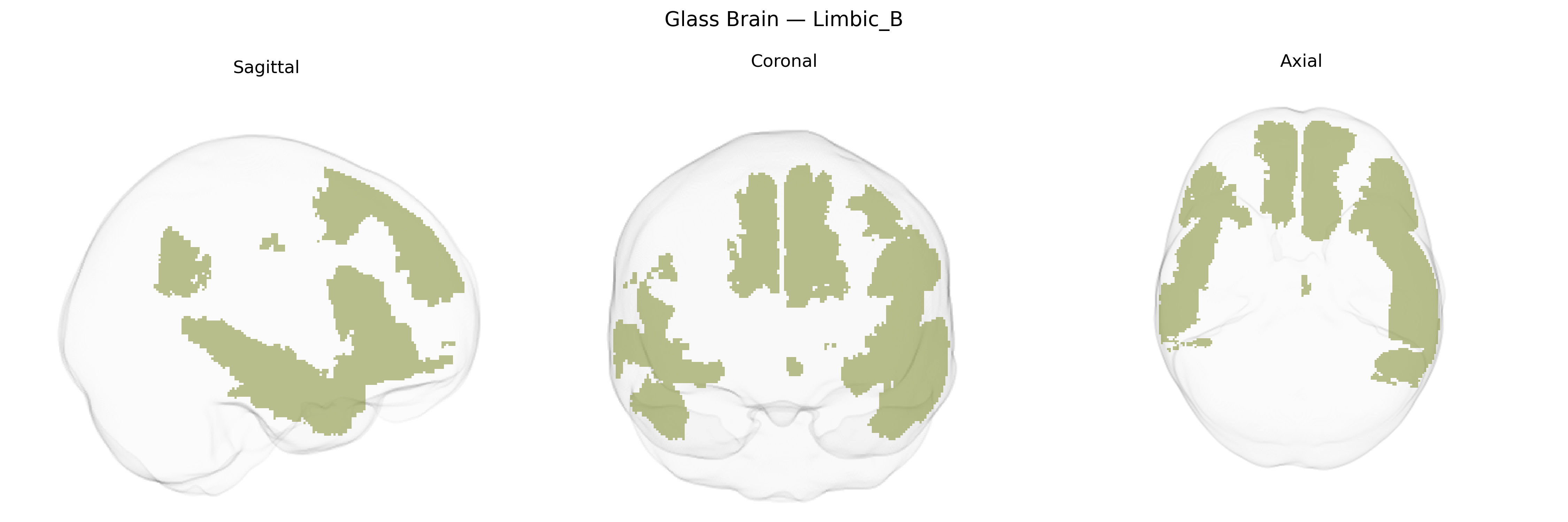 Triplanar Ghost Brain