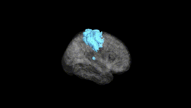 Full Brain Black