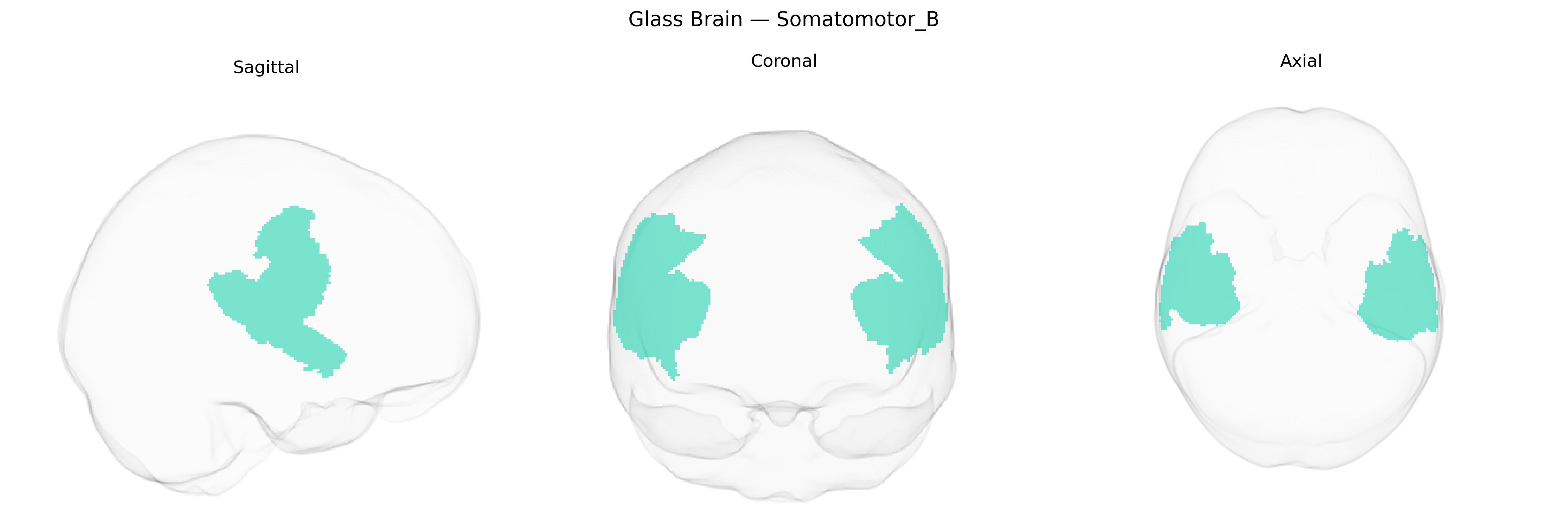 Triplanar Ghost Brain
