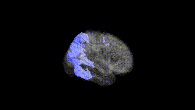 Full Brain Black