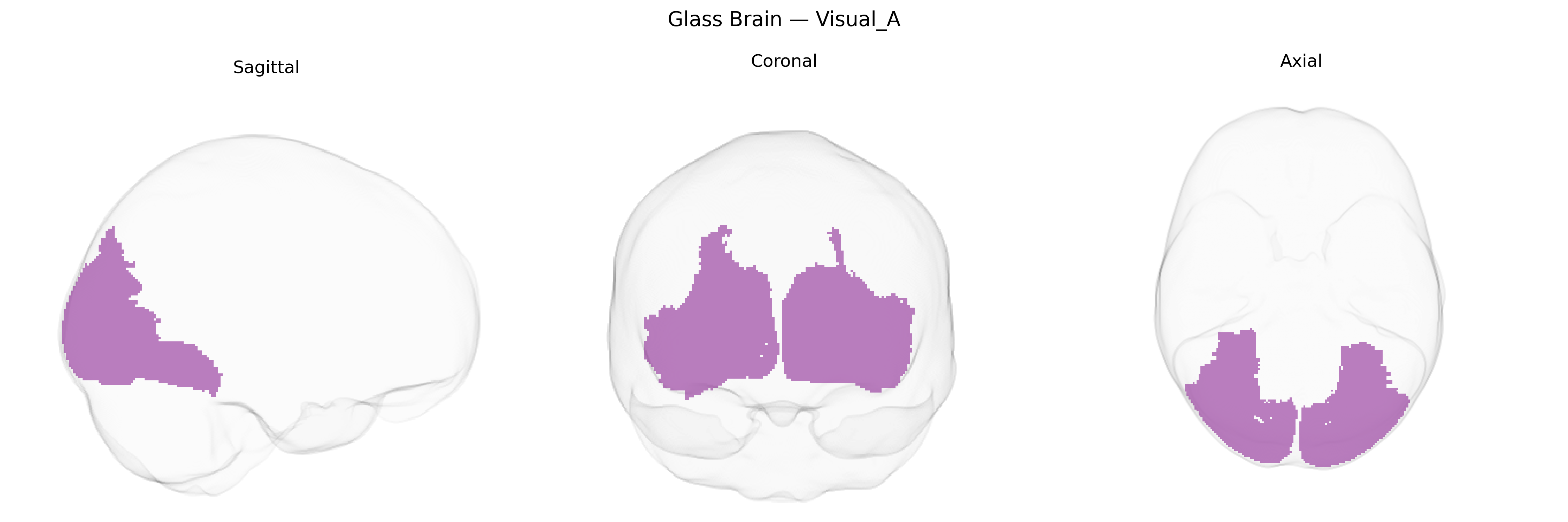 Triplanar Ghost Brain