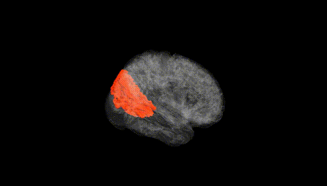 Full Brain Black