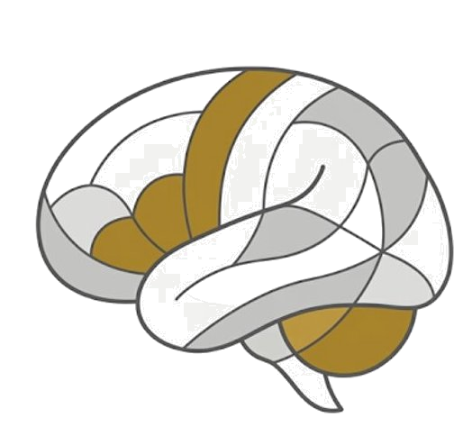 SPINS logo