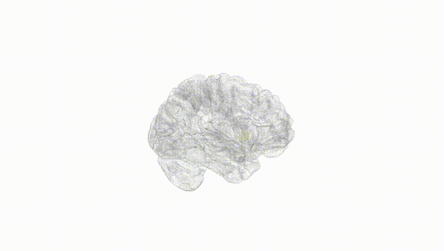 Hemisphere White