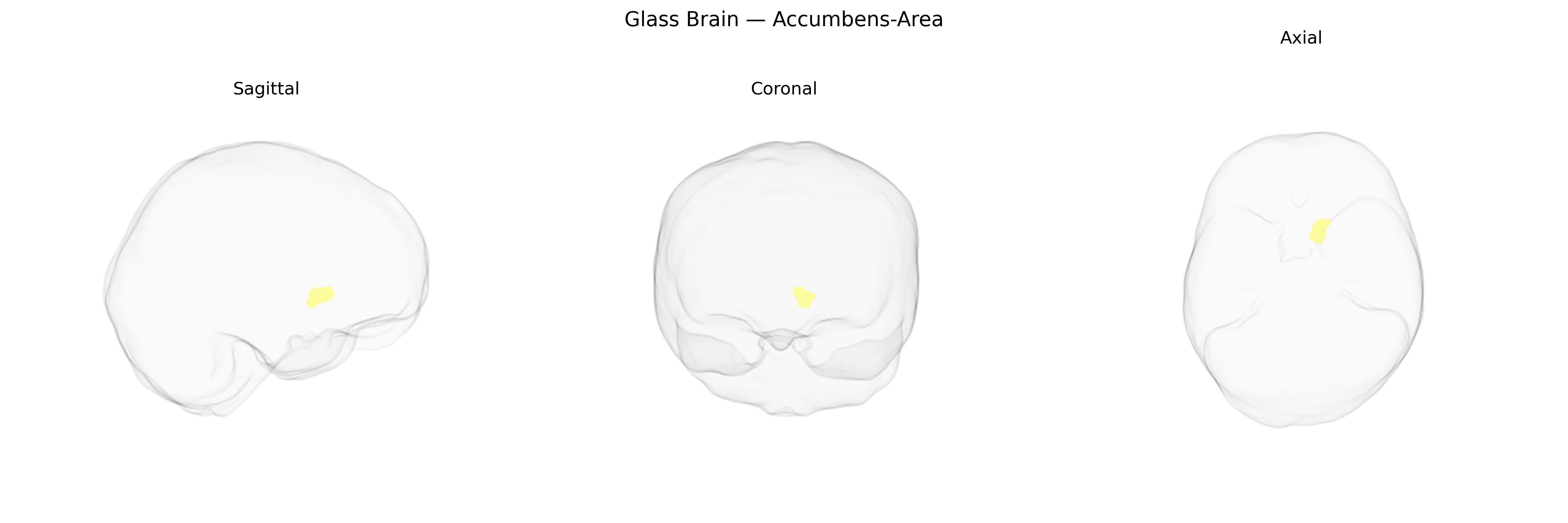Triplanar Ghost Brain