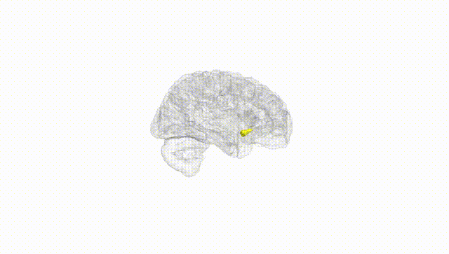 Hemisphere White