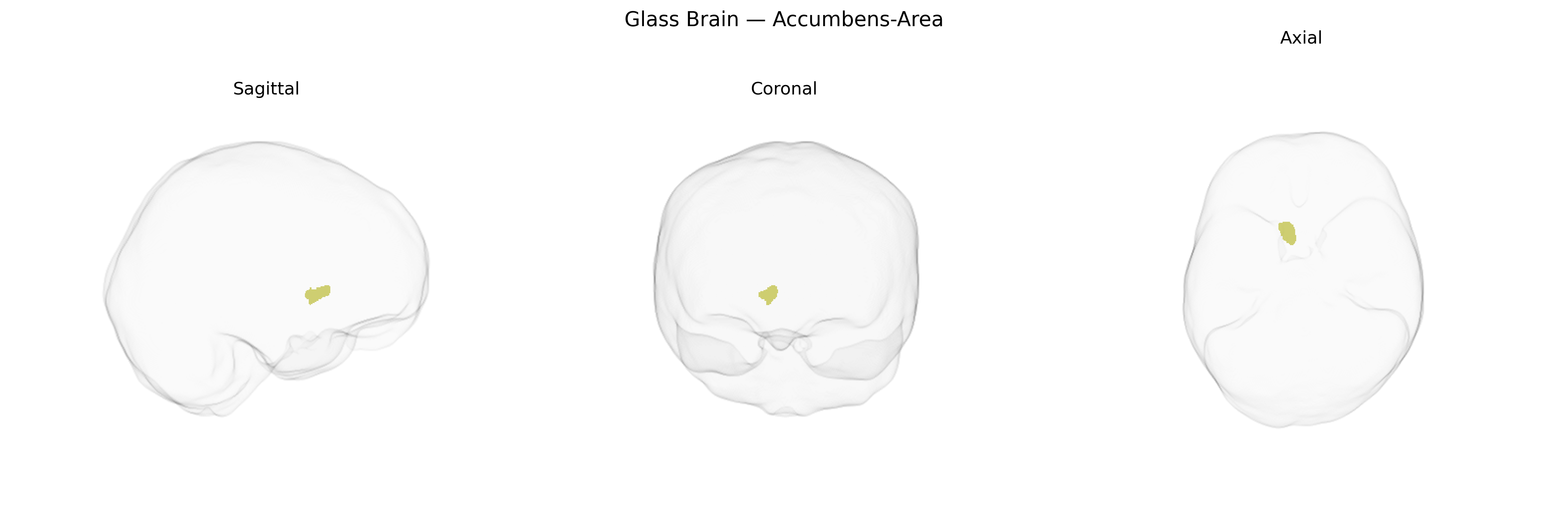 Triplanar Ghost Brain