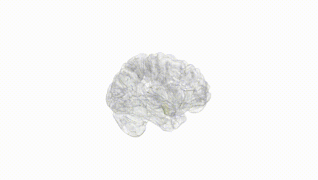 Hemisphere White