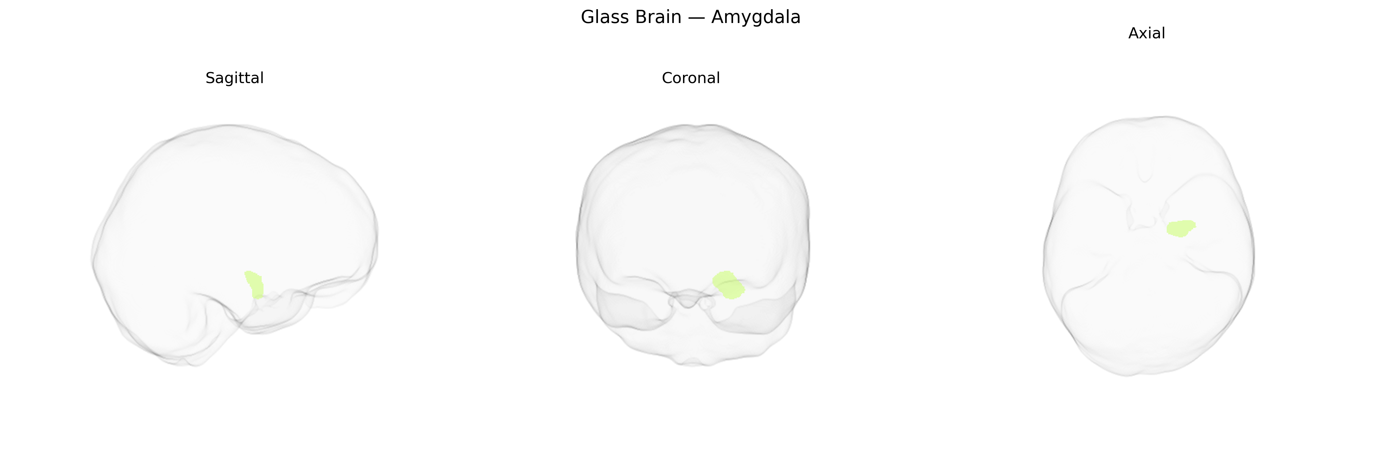 Triplanar Ghost Brain