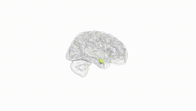 Hemisphere White