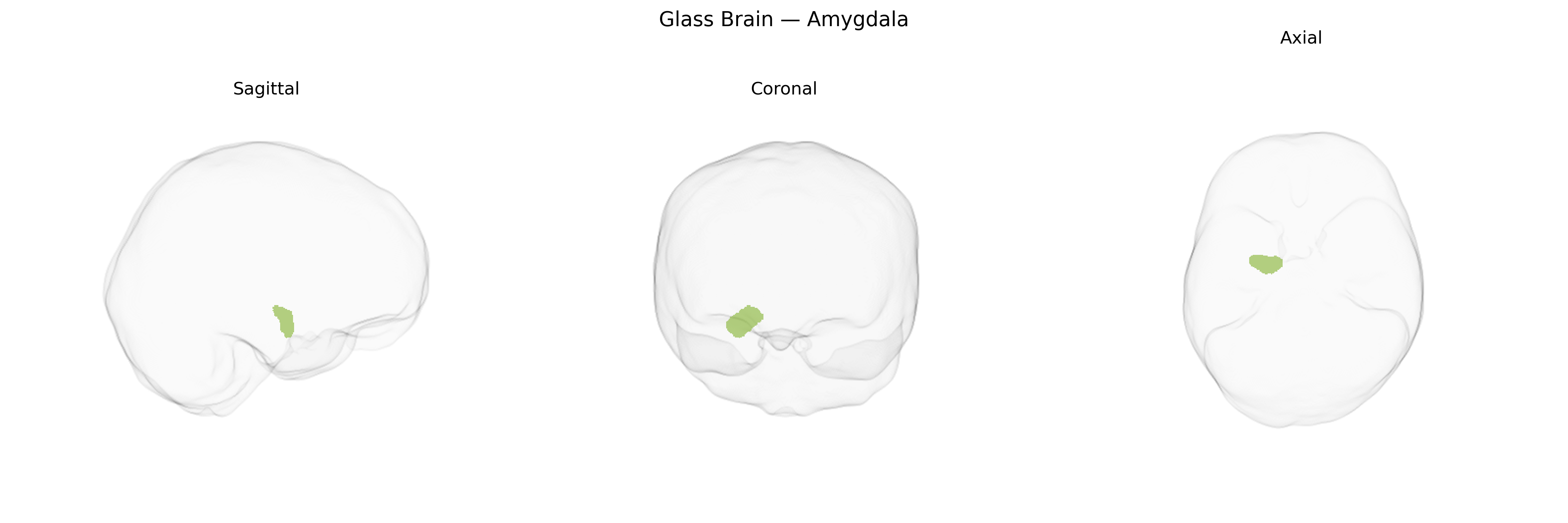 Triplanar Ghost Brain