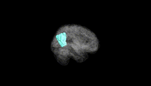 Full Brain Black