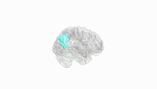 Hemisphere White