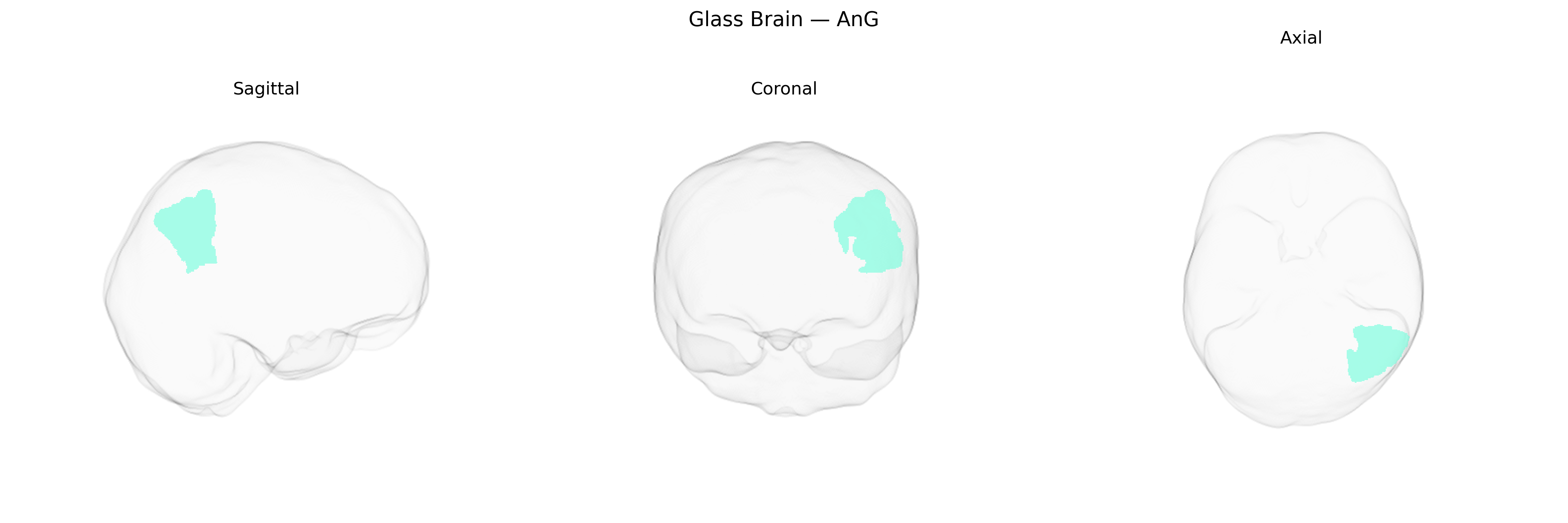 Triplanar Ghost Brain