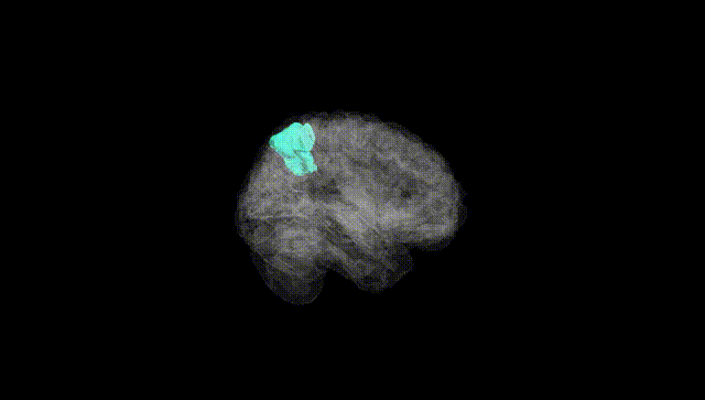 Full Brain Black