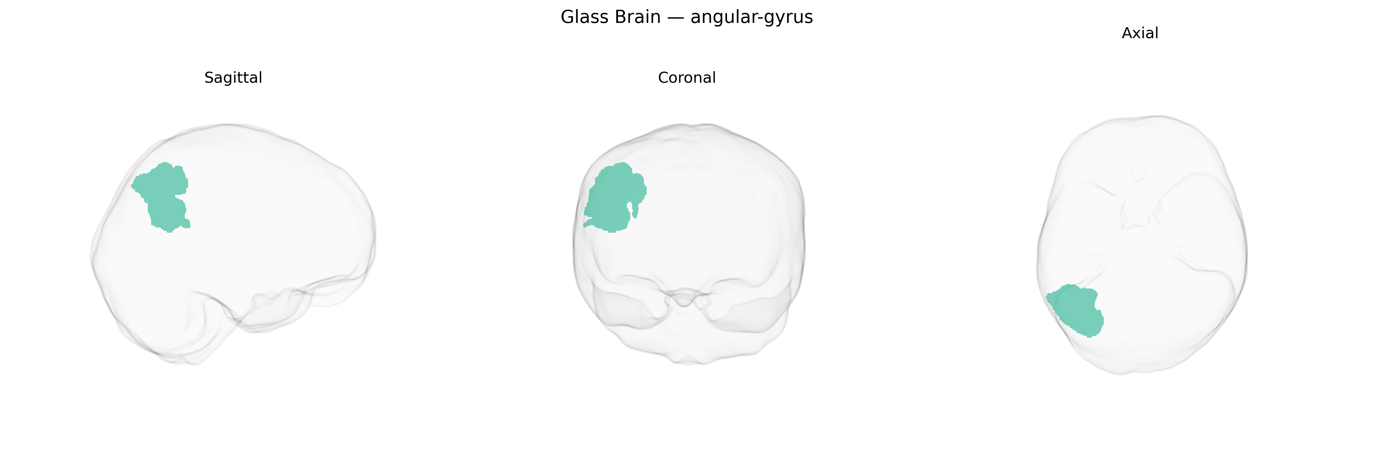 Triplanar Ghost Brain