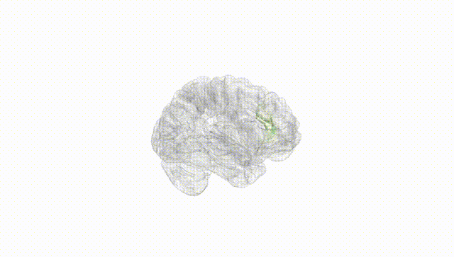 Hemisphere White