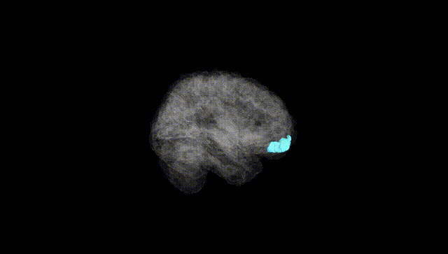 Full Brain Black