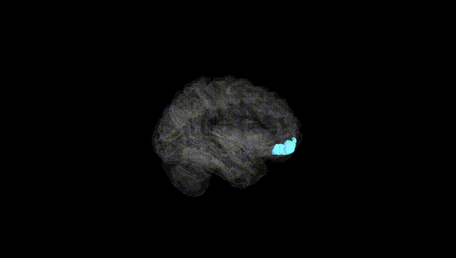 Hemisphere Black