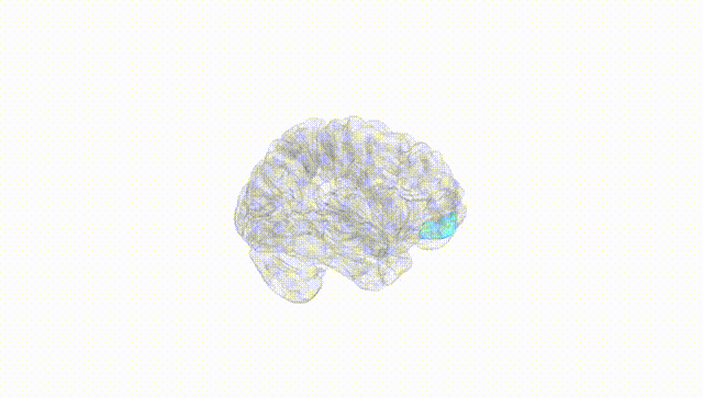 Hemisphere White