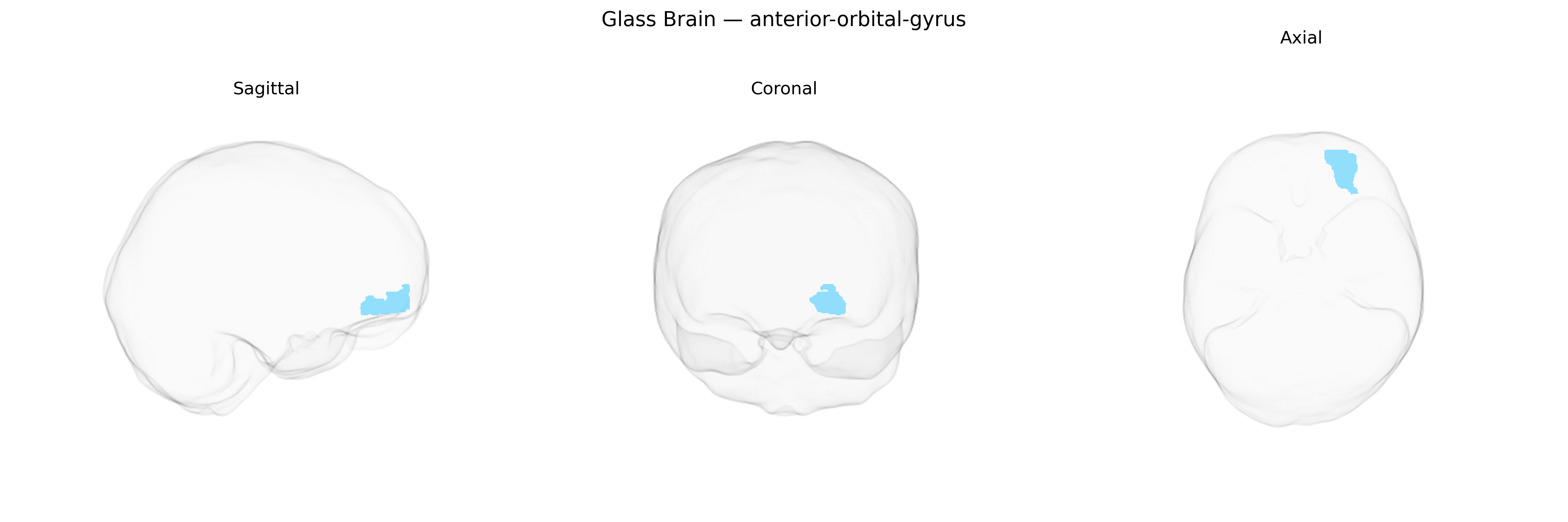 Triplanar Ghost Brain