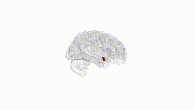 Hemisphere White