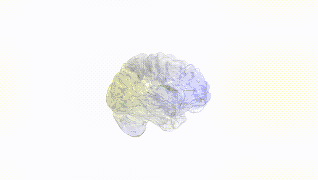 Hemisphere White