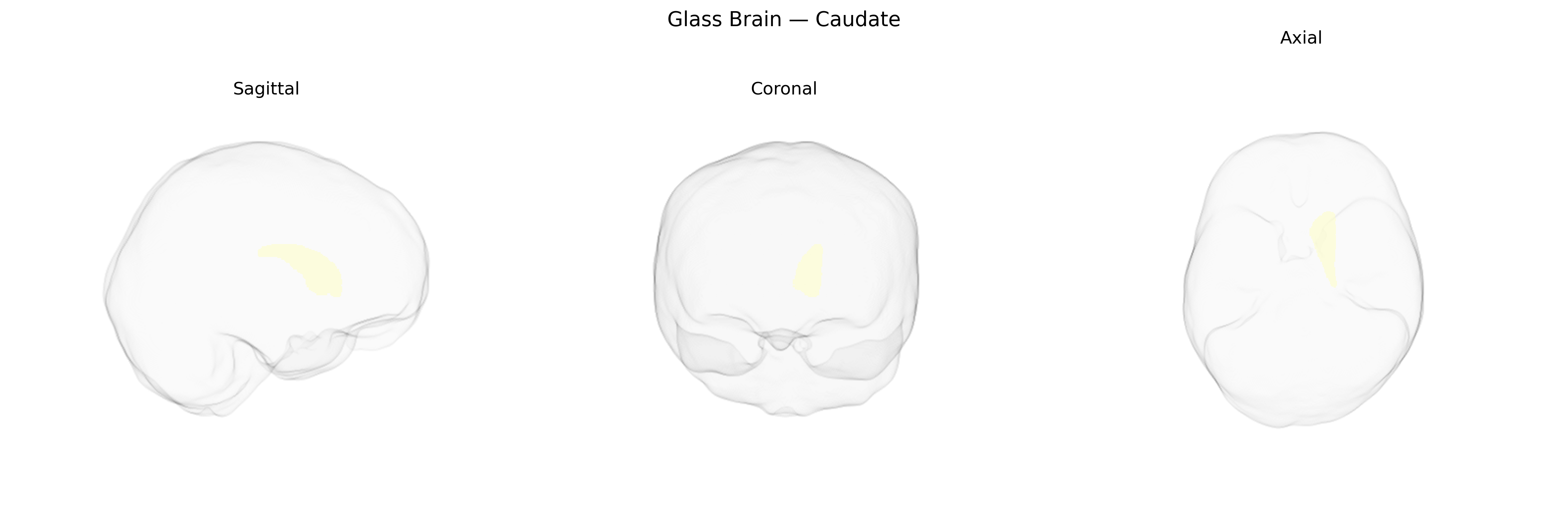 Triplanar Ghost Brain