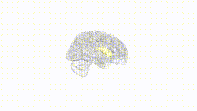 Hemisphere White