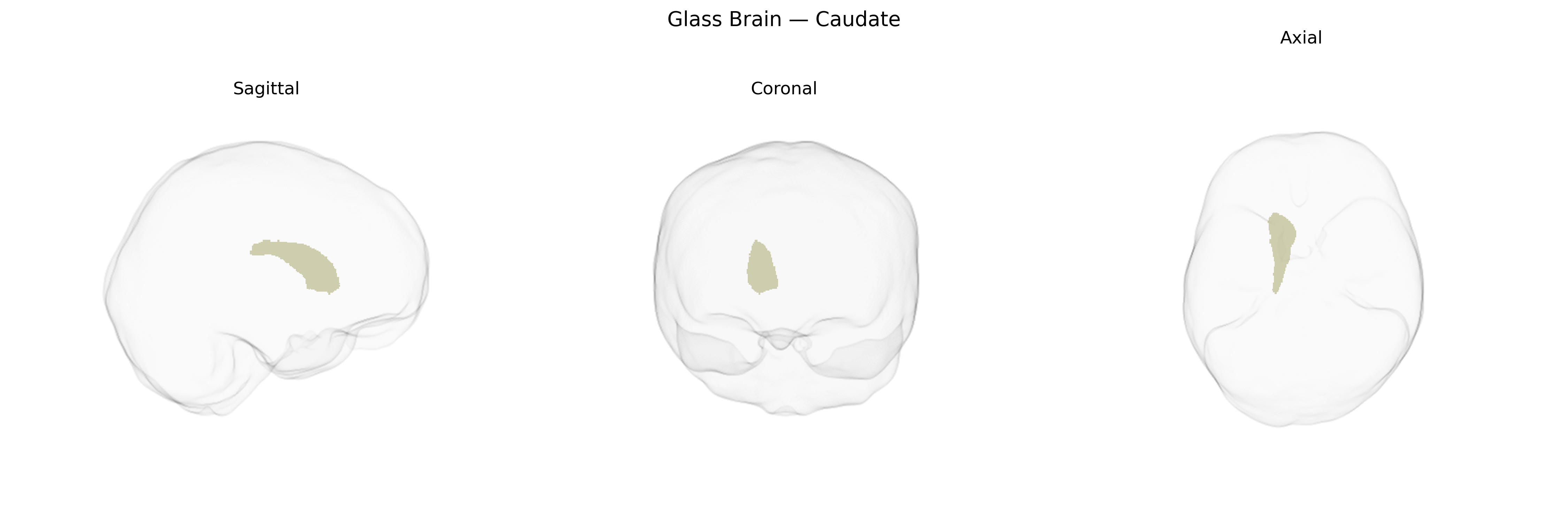 Triplanar Ghost Brain